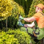 How Landscapers Can Ask For Referrals Correctly Without Irritating Clients